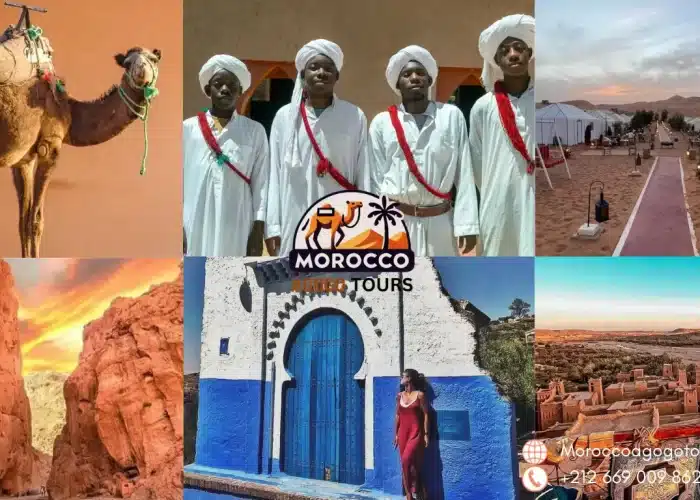 12 Day Morocco Itinerary from Fes to Tangier featuring the Sahara Desert, imperial cities, coastal towns, camel trekking in Merzouga, and the blue city of Chefchaouen.