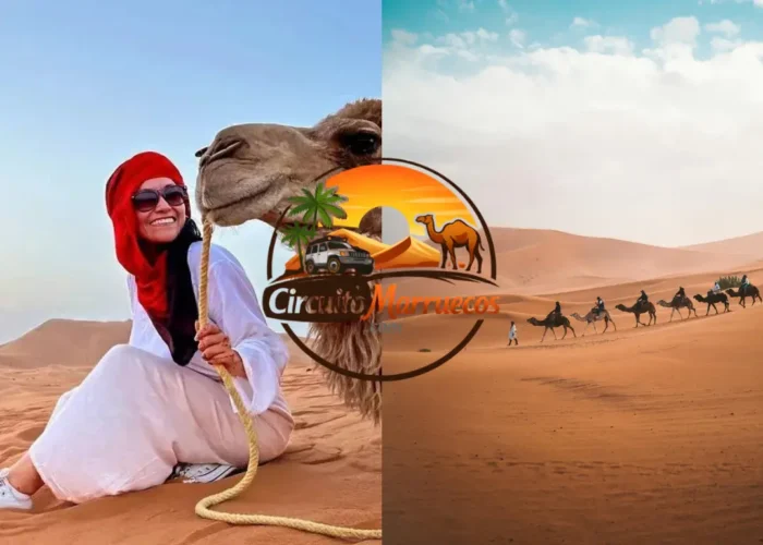 Viajeros recorriendo las dunas del desierto de Merzouga en dromedarios durante una excursión al desierto desde Fez en 3 días, con las impresionantes dunas de Erg Chebbi al atardecer.