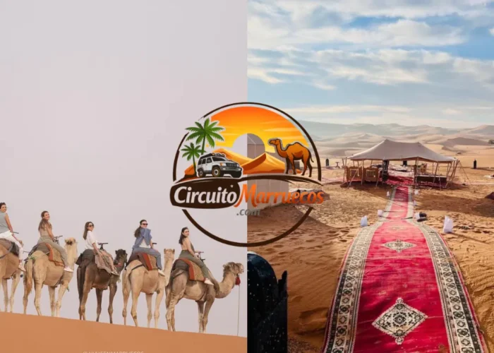 Caravana de camellos cruzando las dunas del Sahara en Marruecos con campamento de lujo al atardecer durante el viaje Marruecos 7 dias