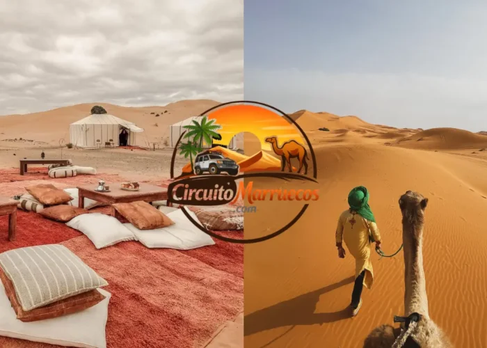 Viajeros disfrutando de un paseo en camello junto a un campamento de lujo en las dunas de Erg Chebbi durante una semana en Marruecos