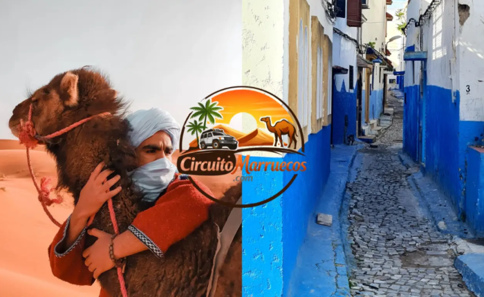 Turistas explorando Chefchaouen y disfrutando de las dunas del desierto de Merzouga en un tour de Marruecos de 8 días por Marruecos.